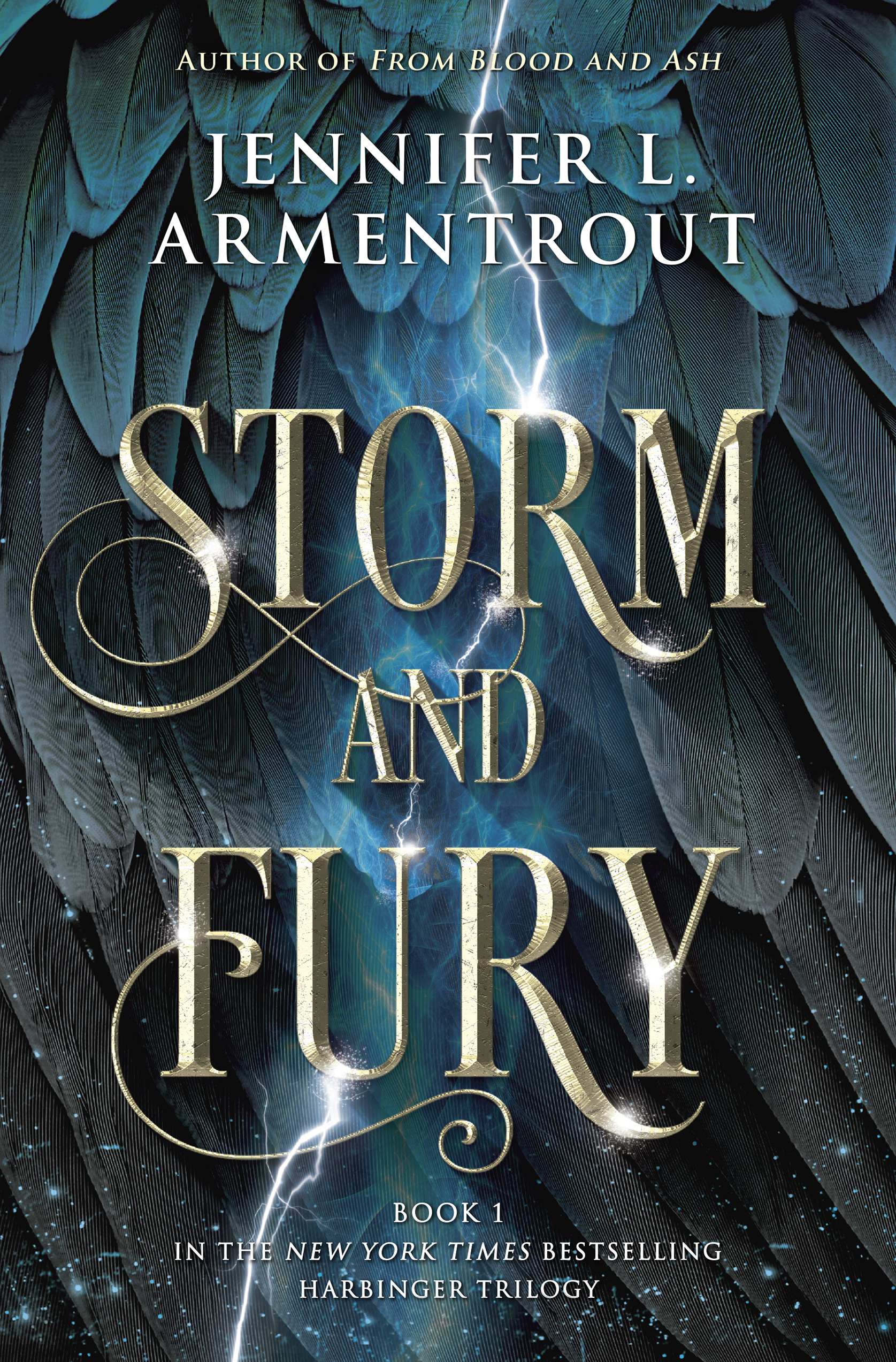 Storm and Fury